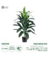 GloboStar® Artificial Garden DRACAENA SILK 20042 - Τεχνητό Διακοσμητικό Φυτό Δράκαινα Υ90cm